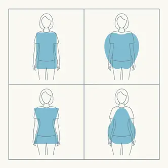 an illustration showing the 4 major body types