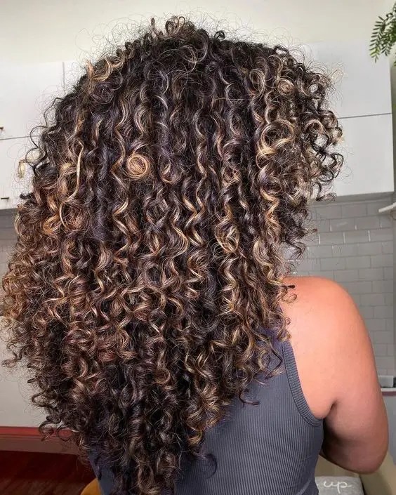 back view of curly black and blonde hair