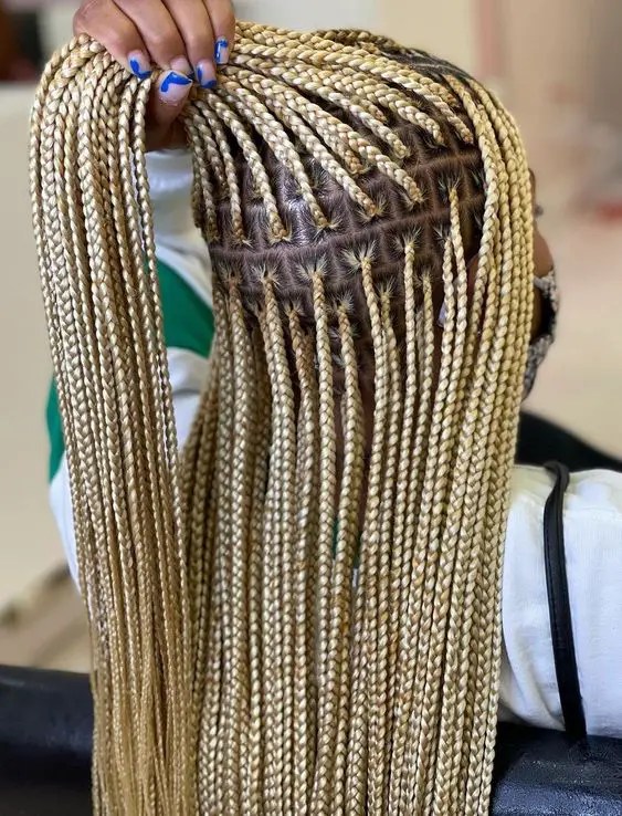 Backview of blonde braid