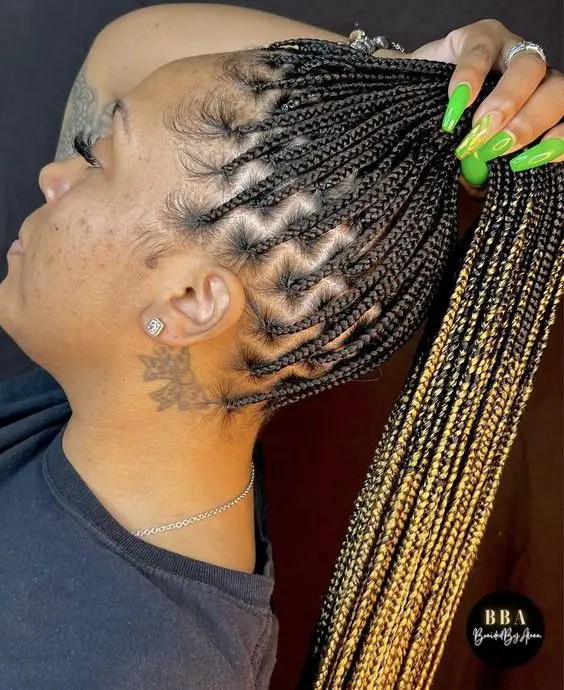 A woman's profile with mixed-color extensions accentuates her braids.