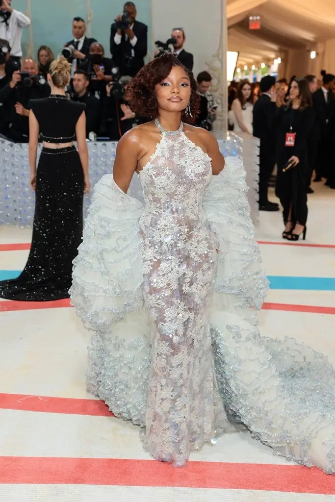 Halle Bailey, one of the world's most beautiful women, is dressed for the Met Gala.