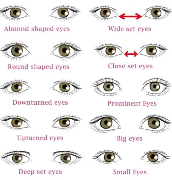 how to apply false eyelashes