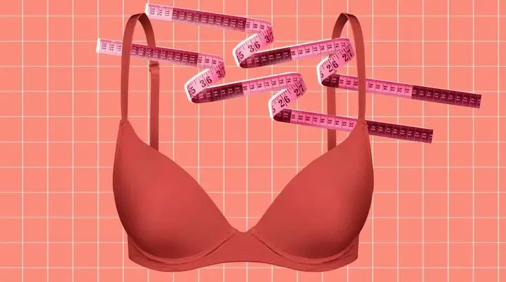 Measure Your Bra Size