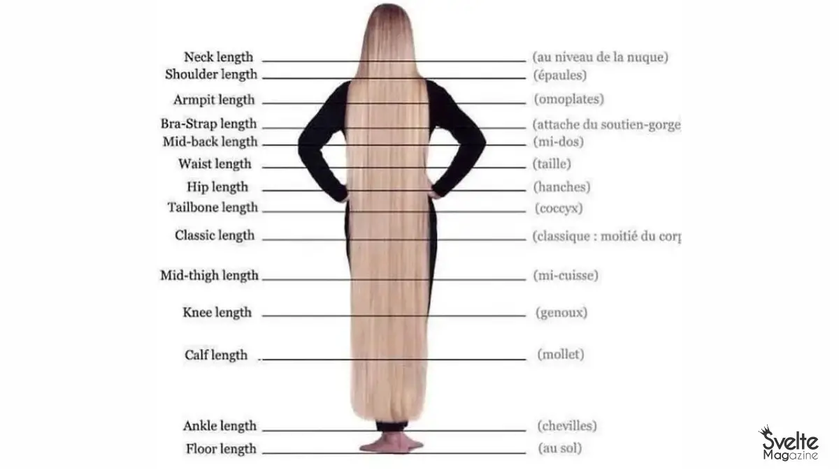 Hair Length Chart An Accurate Guide to Your Desired Hair Length