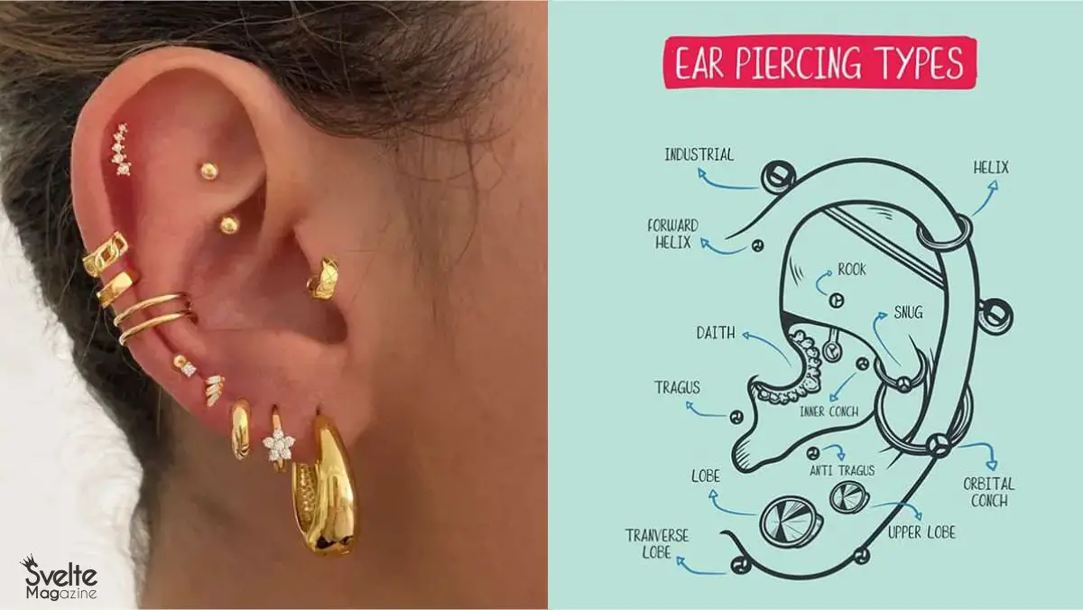 Ear Piercing Chart: Different Types of Ear Modifications